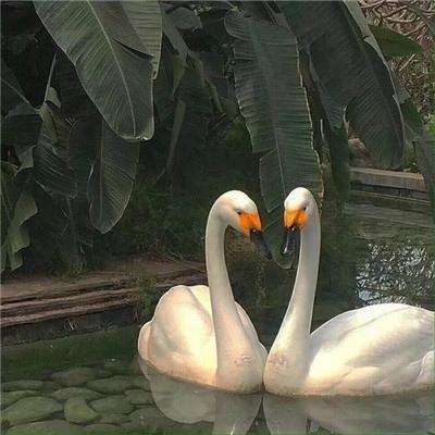 助赢软件手机app下载